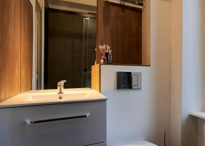 Appartement Lumineux Hyper Centre Clermont-Ferrand